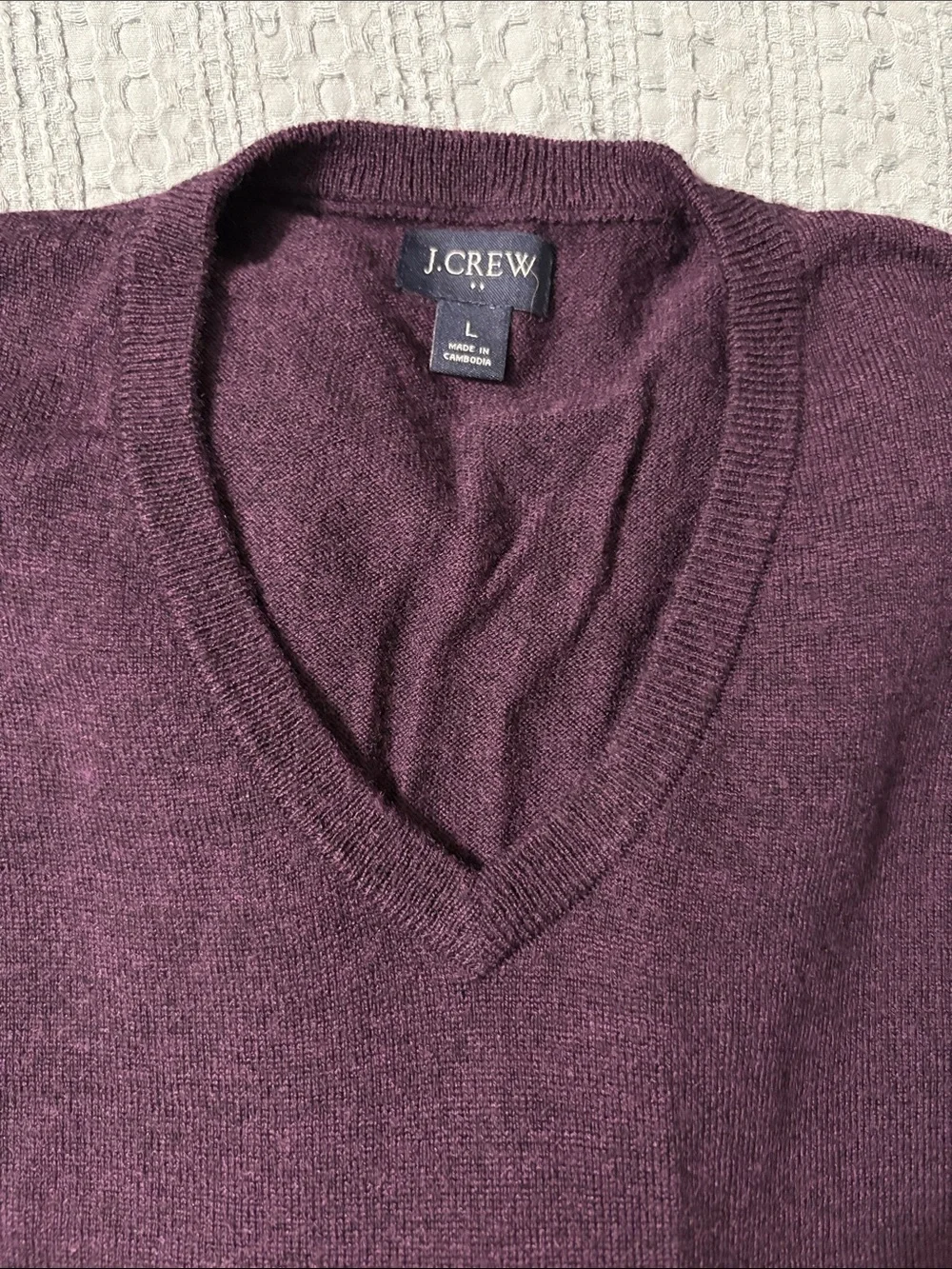 J. Crew Men’s V-Neck Sweater in Plum